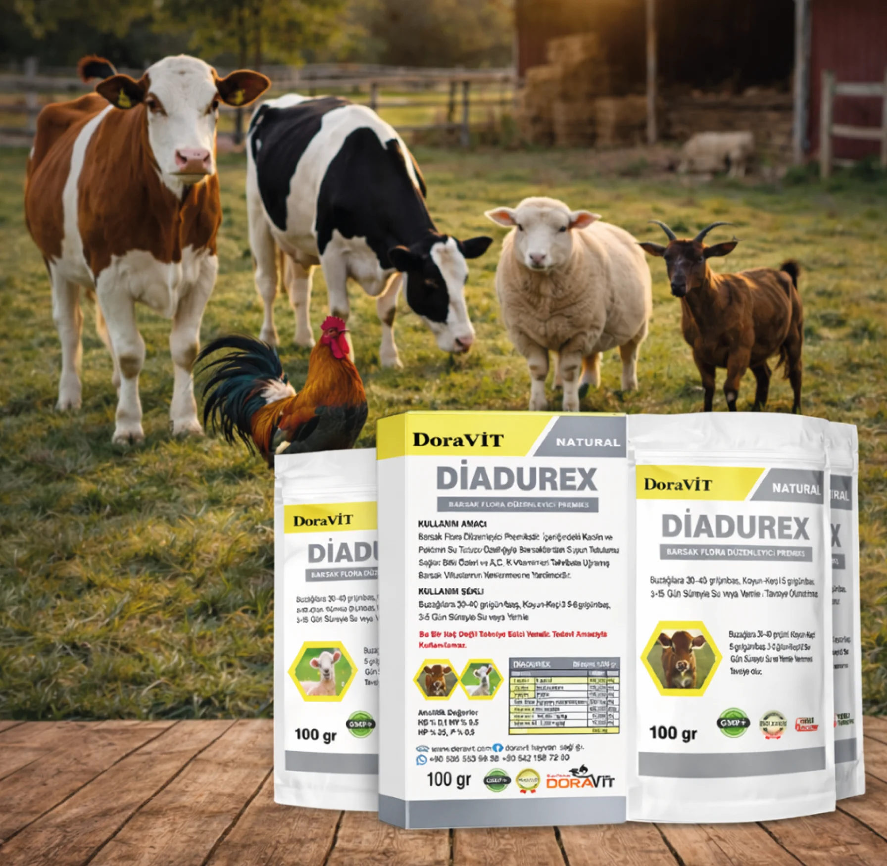 Hayvanlarda İshale Son