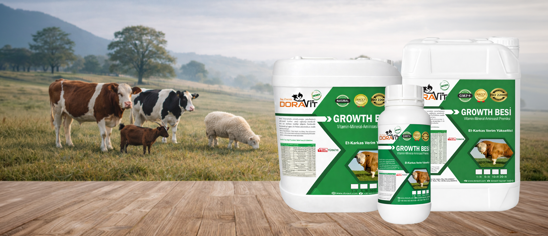 Besi-Süt Hayvanlarında Et-Süt Verimi Artışı