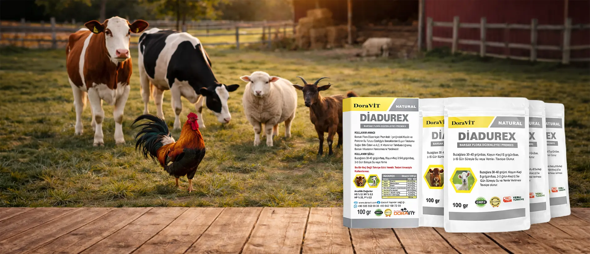 Hayvanlarda İshale Son